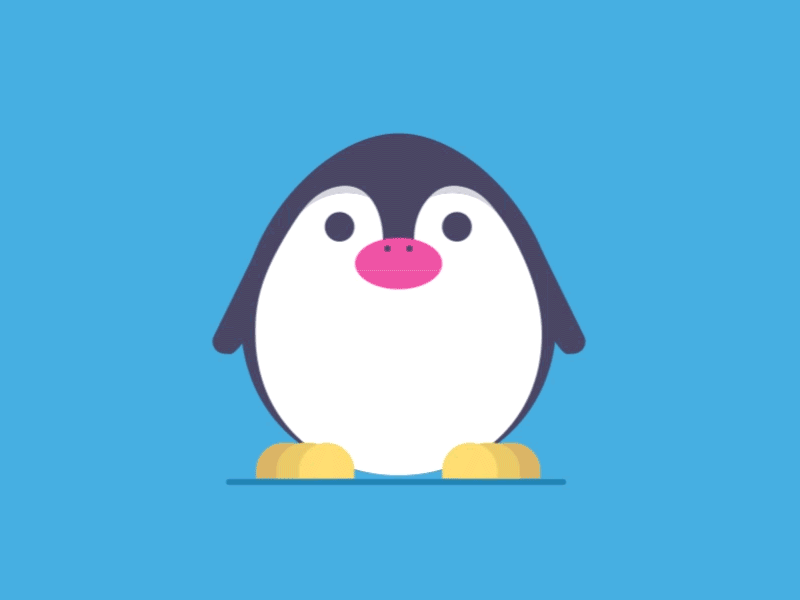 Penguin character animation animal animation graphic illustration penguin vector
