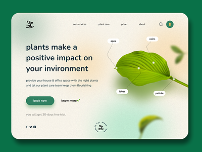 leaves🌱 3d animation branding design graphic design grean illustration leaf leaves logo motion graphics nature plant plants ui ux