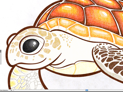 tortuga proceso by Michelle Gómez on Dribbble