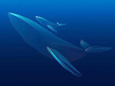 Deep Dive - Mother and baby whale line art. adobeillustrator design digital digitalart digitaldesign graphic design illustration lineart vector vectorart whale