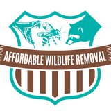 Affordable Wildlife Removal Orlando