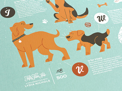 Vizsla alphabet dogs fun facts illustration kids letters limited edition retro sparkly type typography