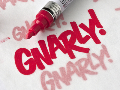 Gnarls! gnarly marker pen sign painter type typography
