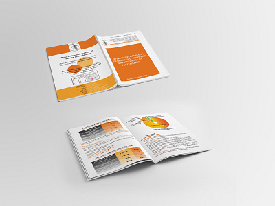 Annual report brochure for NGO RAPAA art direction brochure design graphic design indesign