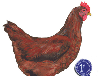 Chicken or the Egg? chicken humor illustration painting science