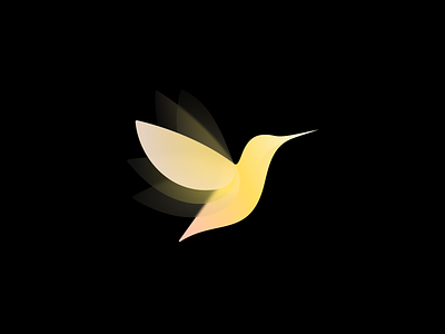 Bird bird branding logo logo design