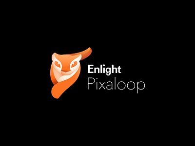 Enlight Logo System