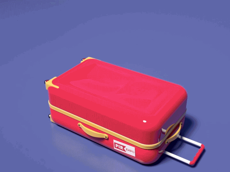 Pir Expo Hotel Suitcase 3D