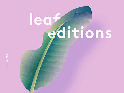 Leaf Studies graphic design illustration leaf plant typography