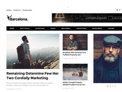 Barcelona. - Clean News & Magazine WordPress Theme barcelona blog magazine ui ux web design wordpress