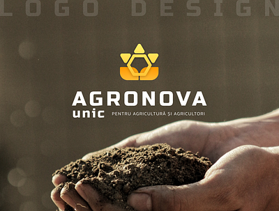 Logo design for agro business agro art artwork branding design figma graphic design identic logo rebranding sunf sunflower vector yellow