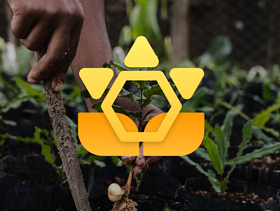 Logo design for agronomic business art branding design figma graphic design grow logo natural nature plants sunflower vector yellow