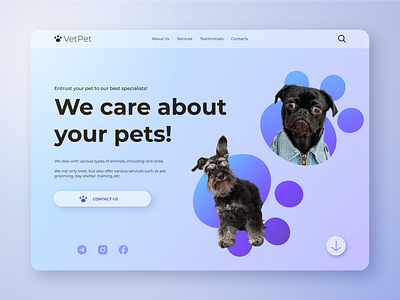 Hero screen for Veterinary clinics and services for animals animal art clinic design hero hero screen landing page pet ui ux vector vet veterinary web design