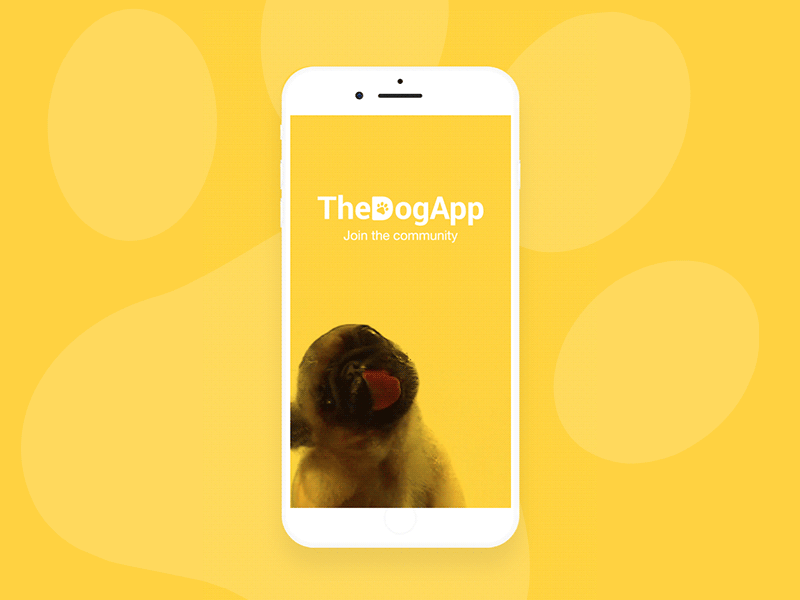 TheDogApp Splashscreen app dog intro splashscreen ui uidesign yellow