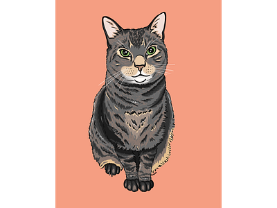 Mowgli cat cat drawing cat illustration design graphic illustration kitty portrait procreate