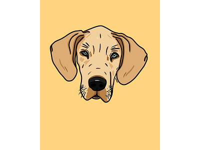 Dingus branding design dog dog illustration dog logo dog portrait duke graphic icon illustration portrait procreate