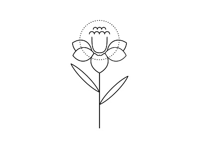 Daffodil book design daffodil flower icon line art