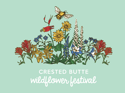 Crested Butte Wildflower Festival colorado columbine crested butte festival flowers honey bee illustration paintbrush wildflowers