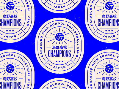 WIKI volleyball Haikyuu- Website concept. by Vadym Shevchuk on Dribbble