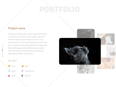 Portfolio Section Prototype