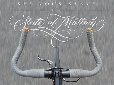 State Bicycle Co. | Motivation Monday VI flourishes lettering scripts state bicycle co swashes type typography vector