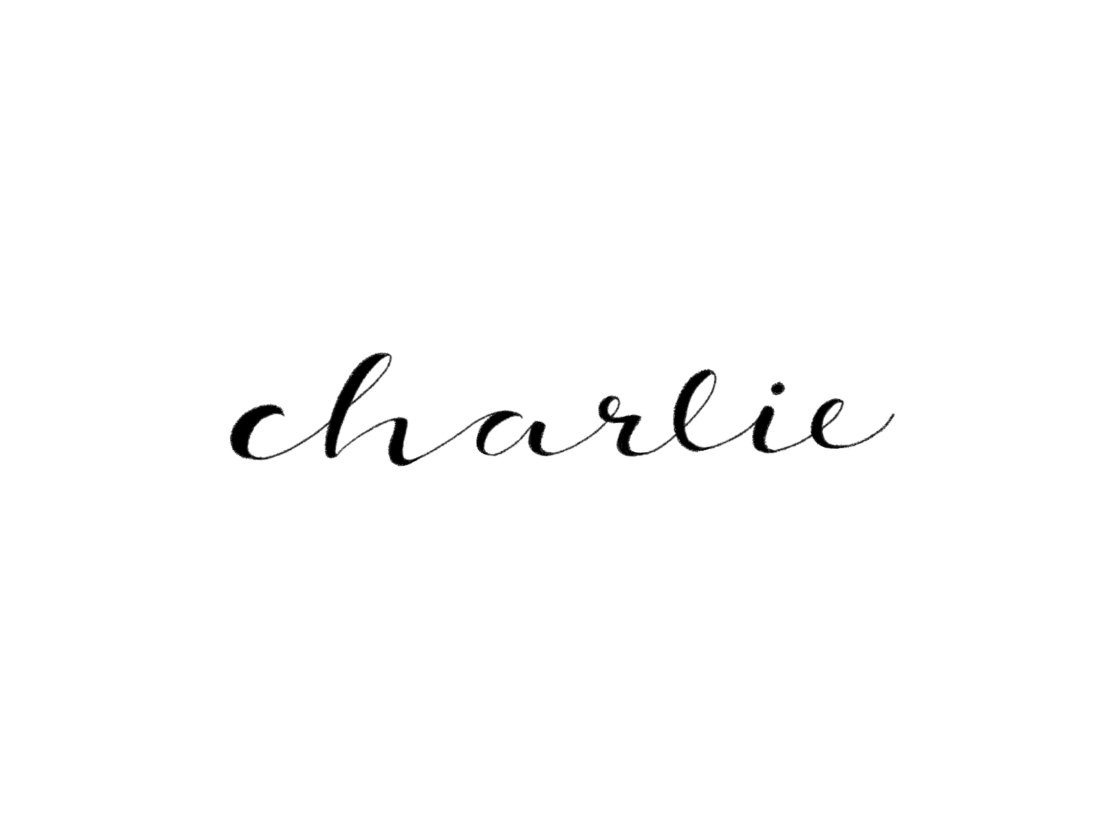 Charlie animate animated gif animated type gif gif animation hand drawn type lettering script type typography typography gif