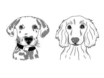 Puppers WIP dalmation digital dog dog illustration doggy illustration illustration art illustration digital line art pattern puppers texture weenie dog