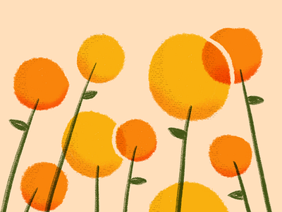 All the flowers flowers flowers illustration illustration orange texture yellow