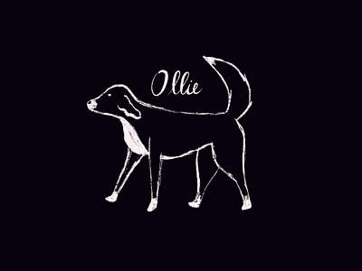 Ollie black black dog border collie collie dog hand drawn illustration national pet day pet pet day puppy typography