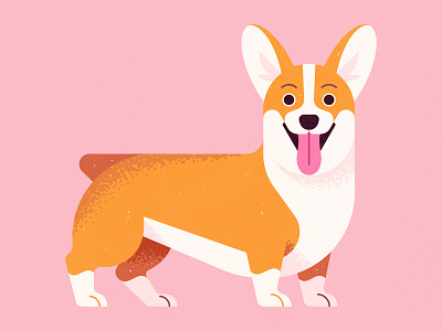 Corgi