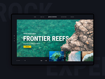 Rock Expeditions Landing Page