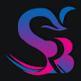 SRB Design