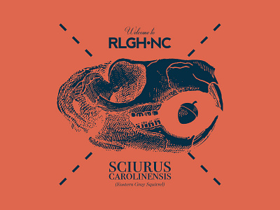Welcome to Raleigh acorn blue latin navy nc oaks print raleigh squirrel