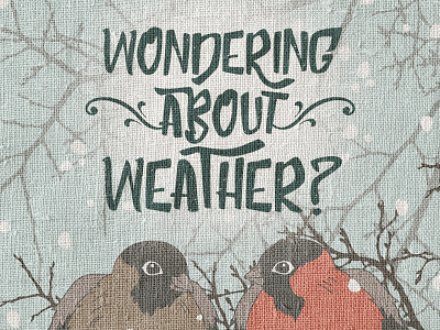 Weather in a Winter Wonderland bird raleigh snow type update weather winter