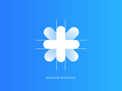 Medisetter Healthcare identity