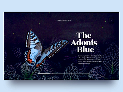 Butterfly Species Landing Page animal animation blue butterflies butterfly dark design forest graphic header interaction landing page motion orange typography ui ux vietnam