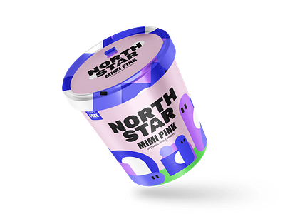 Northstar - ice cream. branding design graphic design logo vector