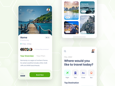 Travel and Trip Booking Mobile App booking design mobile app search travel trip ui ux