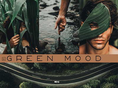 Green Mood Lightroom Presets adobe instagram lightroom photo presets vsco