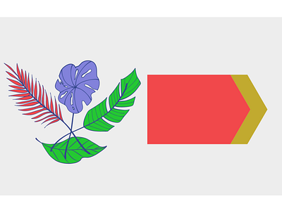 Post Card Design design flower post card design graphic design illustration logo typography