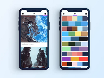 Palette Cam Mockups animation app ios magnifier mockup palette principle principleapp ui ux ux ui