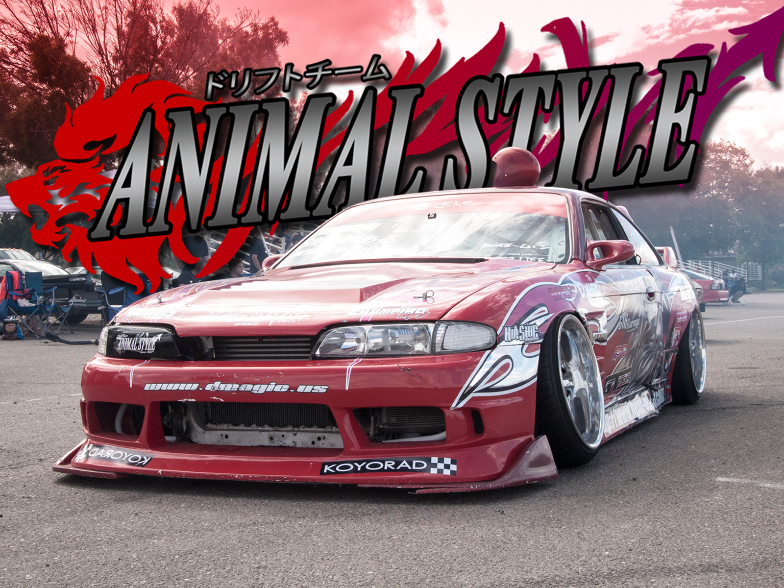 200sx РІРёРЅРёР» animal Style