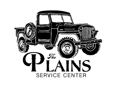 The Plains T-Shirt illustration lettering shirt typography