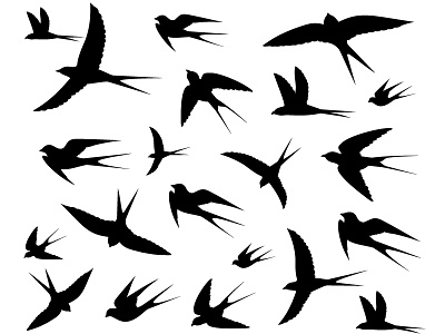 Birds Icons background beak birds chicks flying heaven illustration image swallows wings