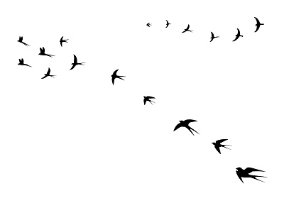 Birds Flying High background beak birds chicks flying heaven illustration image pattern swallows wallpaper wings