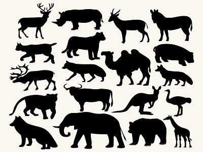 Animals Vector Illustration