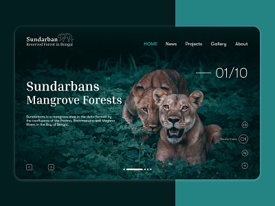 Sundarban - Reserved Forest in Bangal | Web Design advance design design lending page lending page ui logo ui ui design uiux user interface web ui website website design