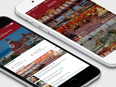 Hotel Booking App- Hotel Del booking events hotel del coronado illustration ios iphone mobile app services ui ux