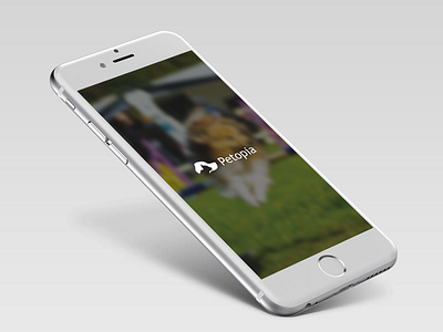 Splash Screen app dog pet pet shop splash sceeen ui design ux design