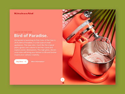 Daily UI #03 / Landing page 003 color dailyui kitchenaid landing page